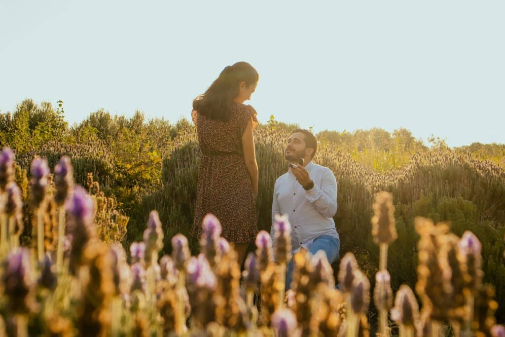 12 Sydney Destinations For A Magical Proposal 