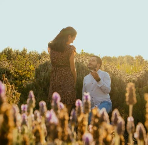 Proposal marriage in Sydney picture