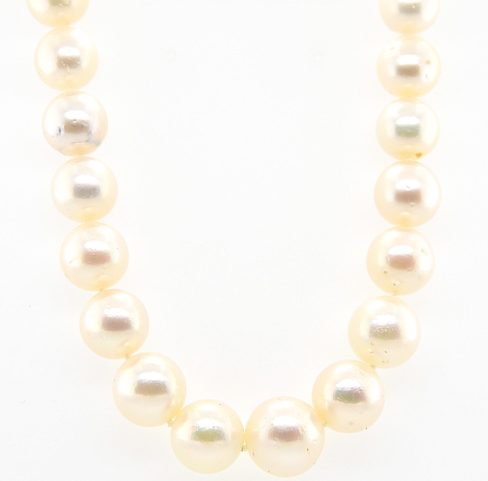 Classic, elegant pearl necklace