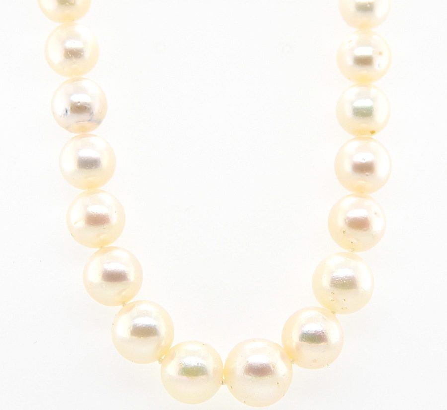 Classic, elegant pearl necklace
